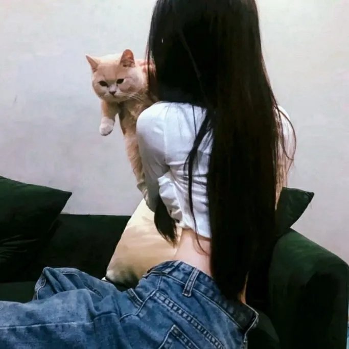 间谍过家家第二季